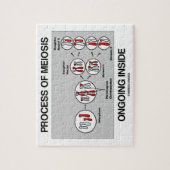 Binnen in behandeling zijnde proces van meiose legpuzzel (Verticaal)