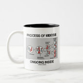 Binnen in behandeling zijnde proces van meiose tweekleurige koffiemok (Links)