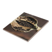 Binnen in een papaverbloem tegeltje (Zijkant)