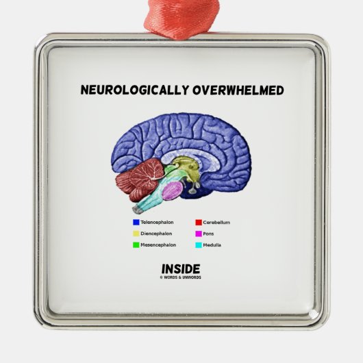 Binnen neurologisch Overweldigd (de Humor van Metalen Ornament (Voorkant)