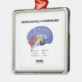 Binnen neurologisch Overweldigd (de Humor van Metalen Ornament (Links)
