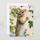 Binnen Reach - Chipmunk Briefkaart (Voorkant / Achterkant)