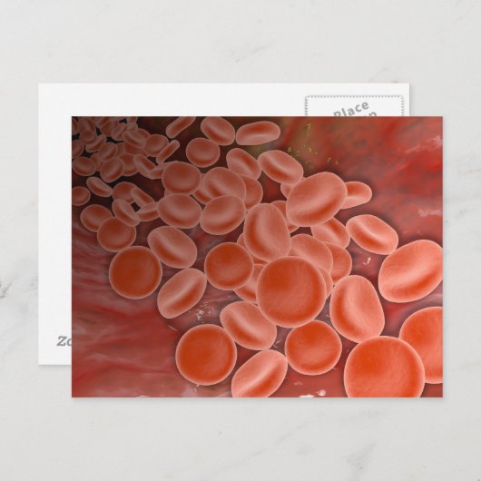 Binnen Uitzicht van de slagader met rode bloedcell Briefkaart (Voorkant / Achterkant)