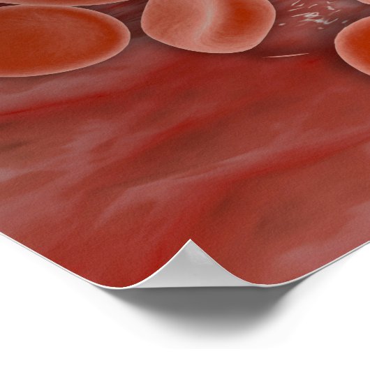 Binnen Uitzicht van de slagader met rode bloedcell Poster (Hoek)