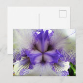 Binnen van een Iris Briefkaart (Voorkant / Achterkant)