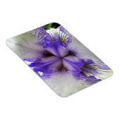 Binnen van een Iris Magneet (Rechterzijde)