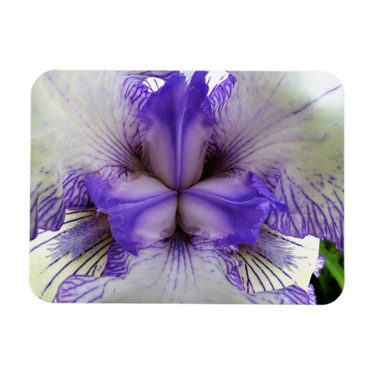 Binnen van een Iris Magneet (Horizontaal)