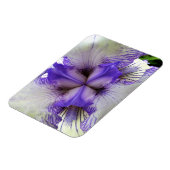Binnen van een Iris Magneet (Linkerzijde)