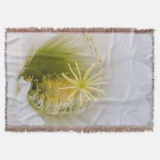 Binnen van een witte cactus in bloei deken (Voorkant)