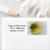 Binnen van een witte cactus in bloei etiket (Insitu)