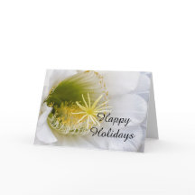 Binnen van een witte cactus in bloei