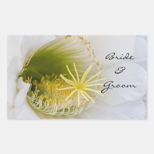 Binnen van een witte cactus in bloei rechthoekige sticker (Voorkant)