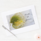 Binnen van een witte cactus in bloei rechthoekige sticker (Envelop)