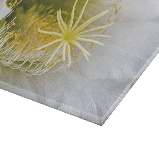 Binnen van een witte cactus in bloei snijplank (Hoek)