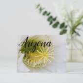 Binnen van een witte cactus in bloom, Arizona Briefkaart (Staand voorkant)