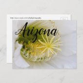 Binnen van een witte cactus in bloom, Arizona Briefkaart (Voorkant / Achterkant)