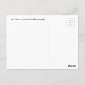 Binnen van een witte cactus in bloom, Arizona Briefkaart (Achterkant)