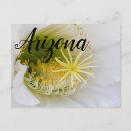 Binnen van een witte cactus in bloom, Arizona Briefkaart