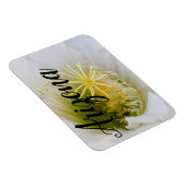 Binnen van een witte cactus in bloom, Arizona Magneet (Rechterzijde)