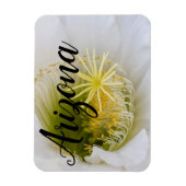 Binnen van een witte cactus in bloom, Arizona Magneet (Verticaal)