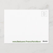 Binnenkant op zoek naar mozaïekgraffiti briefkaart (Achterkant)