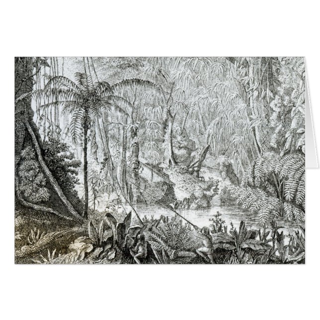 Binnenkant van een oerbos in de Amazones (Voorkant Horizontaal)
