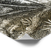 Binnenkant van een oerbos in de Amazones Poster (Hoek)