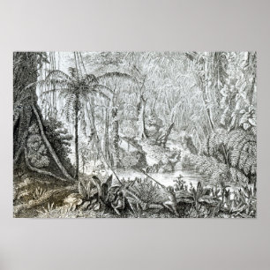 Binnenkant van een oerbos in de Amazones Poster