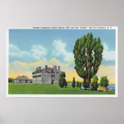 Binnenkant van Jesuit Chapel in het Oude Franse Ca Poster (Voorkant)