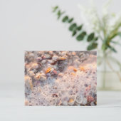 Binnenkomend Surf en zeeschelpen op het eiland San Briefkaart (Staand voorkant)