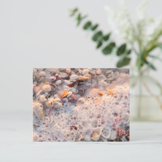 Binnenkomend Surf en zeeschelpen op het eiland San Briefkaart (Staand voorkant)