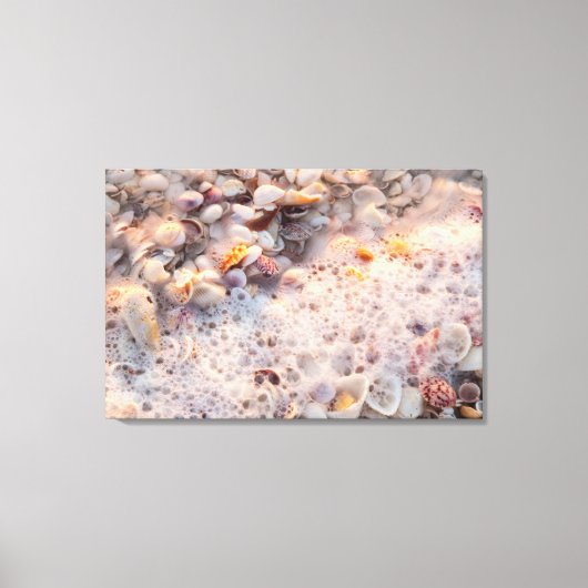 Binnenkomend Surf en zeeschelpen op het eiland San Canvas Afdruk (Voorkant)