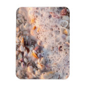 Binnenkomend Surf en zeeschelpen op het eiland San Magneet (Verticaal)