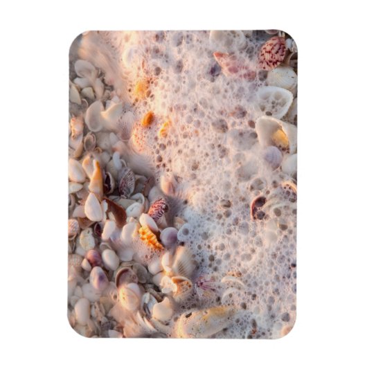 Binnenkomend Surf en zeeschelpen op het eiland San Magneet (Verticaal)