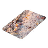 Binnenkomend Surf en zeeschelpen op het eiland San Magneet (Linkerzijde)