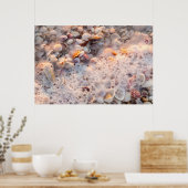 Binnenkomend Surf en zeeschelpen op het eiland San Poster (Keuken)