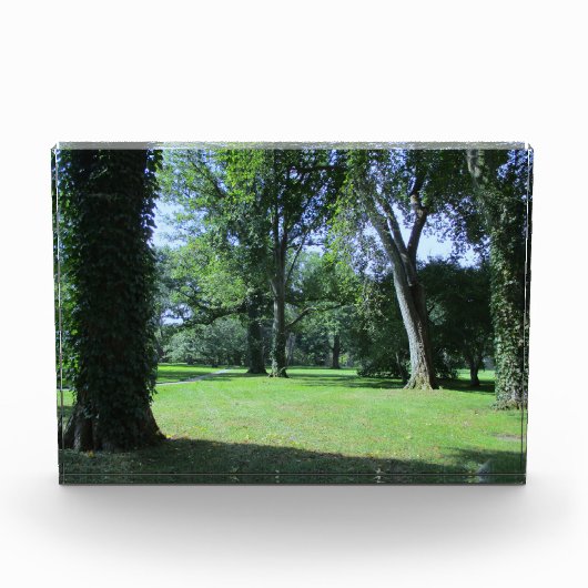 Binnenkomst in het Greenwood Fotoblokken (Voorkant)