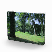 Binnenkomst in het Greenwood Fotoblokken (Rechts)