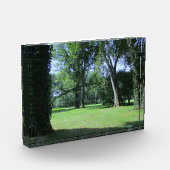 Binnenkomst in het Greenwood Fotoblokken (Links)