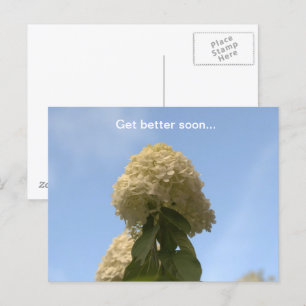 Binnenkort beter Limoen Hydrangea Briefkaart
