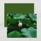 Binnenkort bloeien (Voorkant / Achterkant)