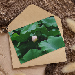 Binnenkort bloeien kaart