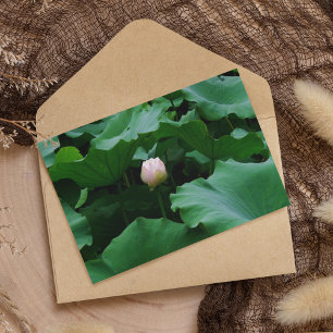 Binnenkort bloeien kaart