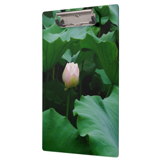 Binnenkort bloeien klembord (Links)