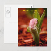 Binnenkort goed briefkaart (Voorkant / Achterkant)