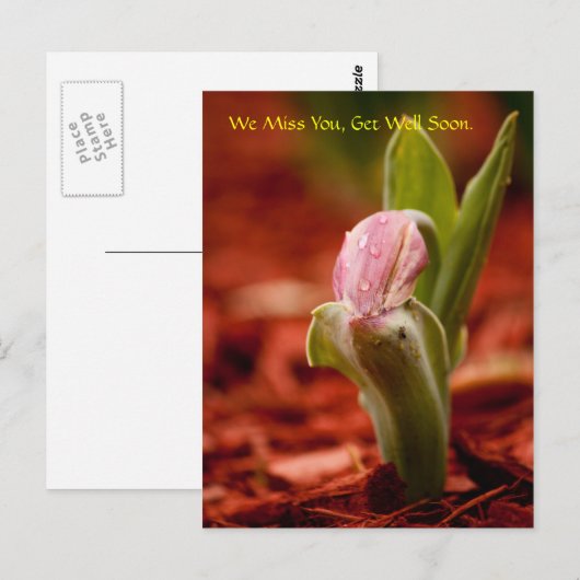 Binnenkort goed briefkaart (Voorkant / Achterkant)