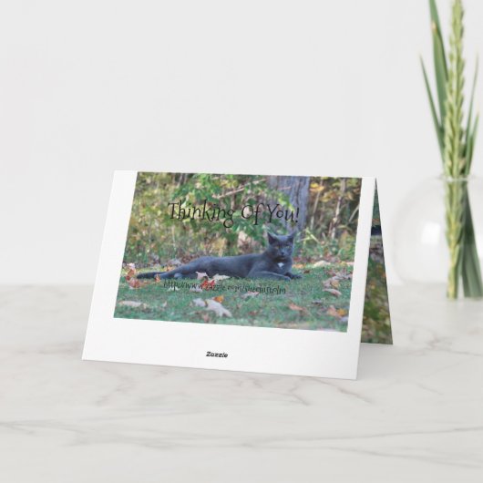 Binnenkort goed kaart (Achterkant)