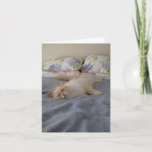 Binnenkort goed kaart (Voorkant)