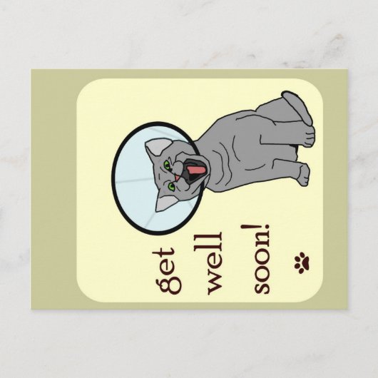 Binnenkort goed | Kat met klonen Briefkaart (Voorkant)