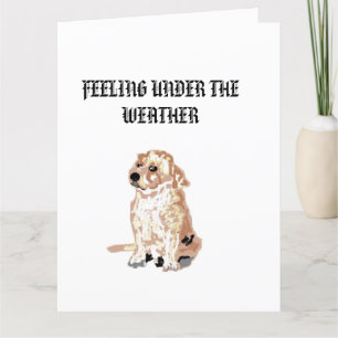 Binnenkort goed: onder het weer kaart